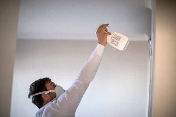 Best Attic Mold Remediation in Farmville, VA