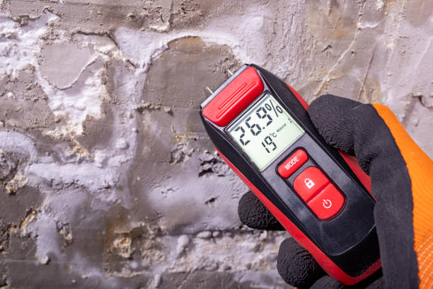 Best Kitchen Mold Remediation in Farmville, VA
