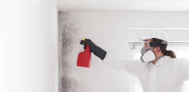 Best Industrial Mold Remediation in Farmville, VA